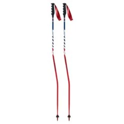 Swix WC Pro Carbon Ski Pole -Finest Ski Equipment 20 Swix Composite Race Pole GS