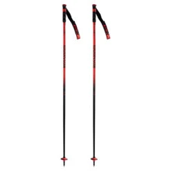 Rossignol Adult Hero Ski Pole -Finest Ski Equipment 2023 Rossi HERO SL Poles 1