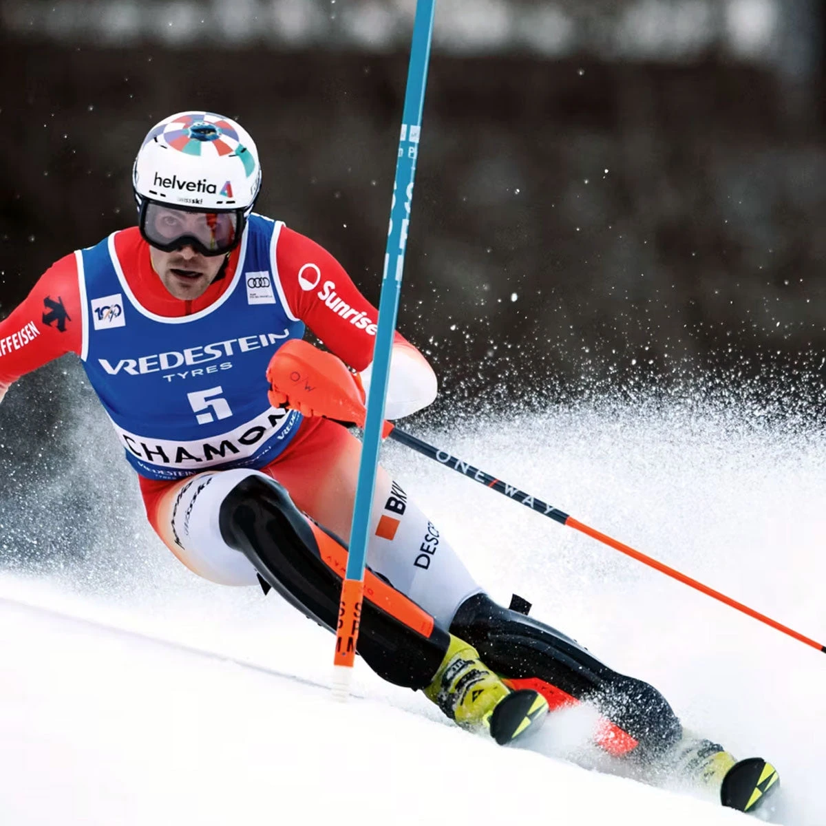 One Way Pole Guards 6 One Way Pole Guards - Image 4